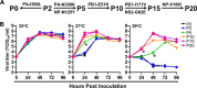 FIG 2