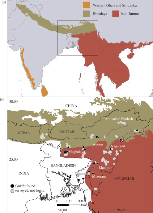 Figure 1.