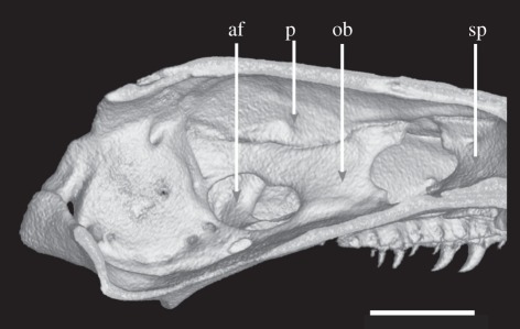 Figure 4.