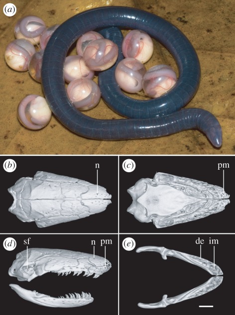 Figure 3.