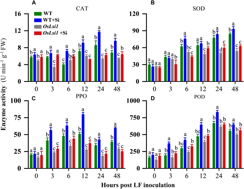 FIGURE 4