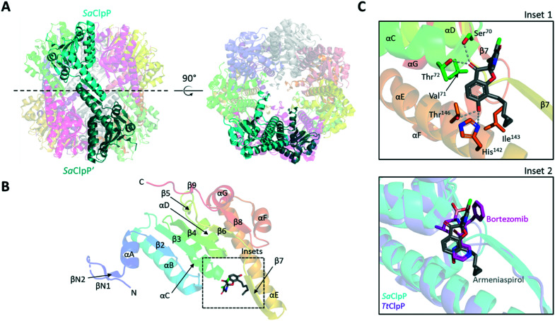 Fig. 3