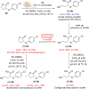 Scheme 4