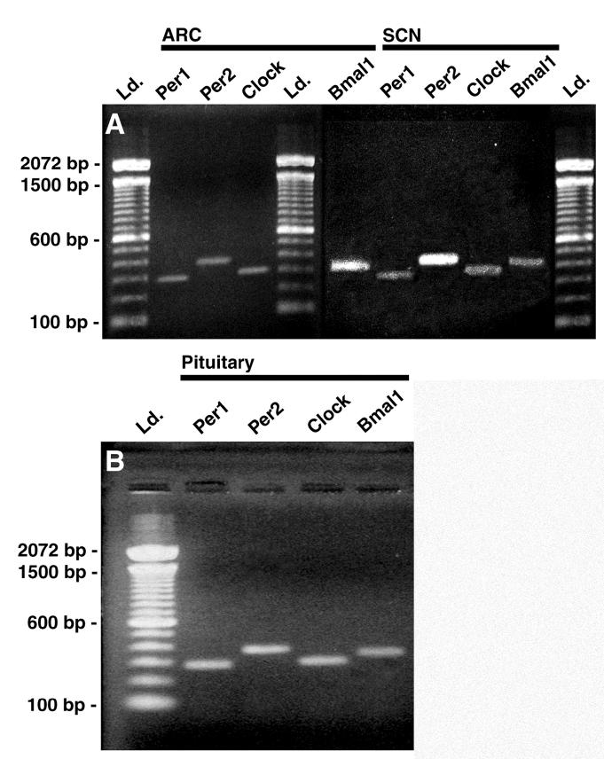 Figure 5.