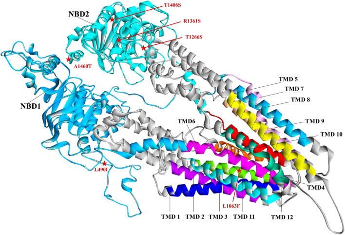 Fig. 3