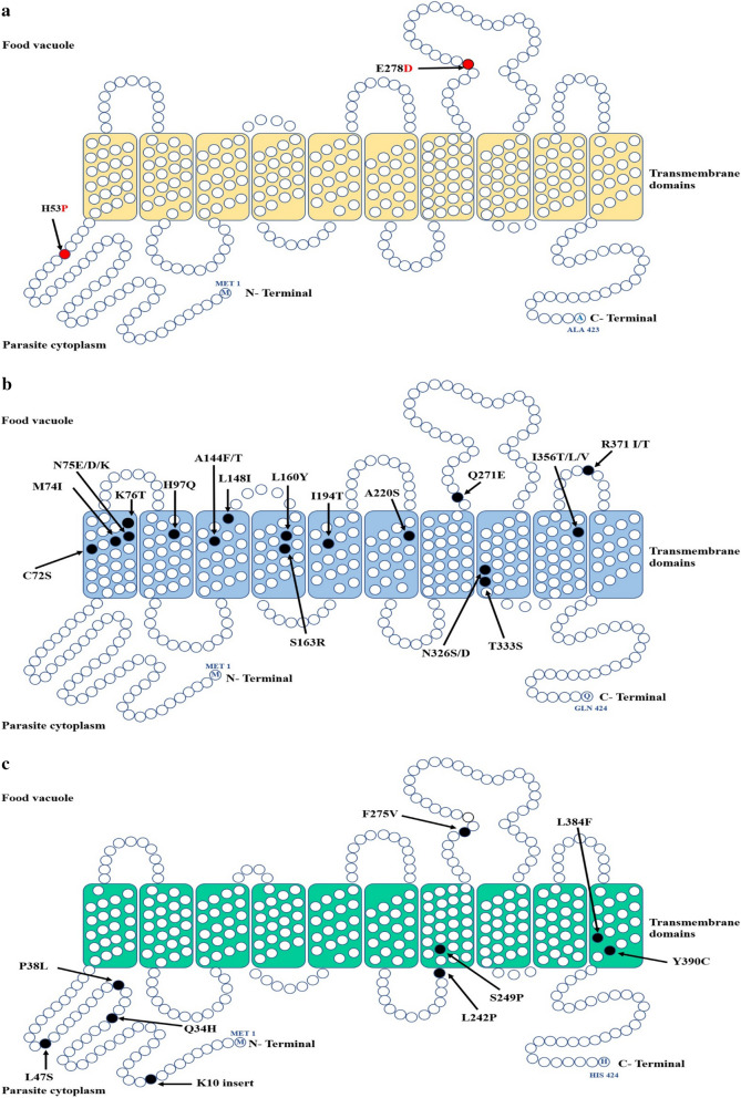 Fig. 1