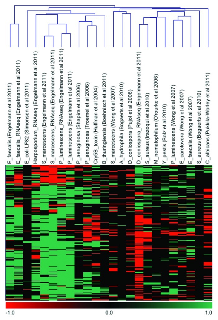 Strength in numbers: “Omics” studies of C. elegans innate immunity - PMC