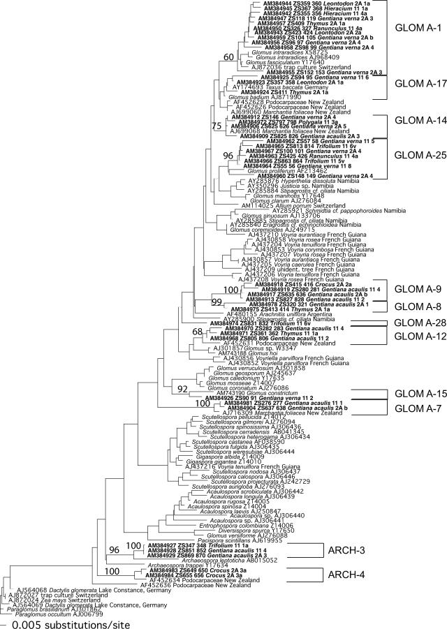 FIG. 1.