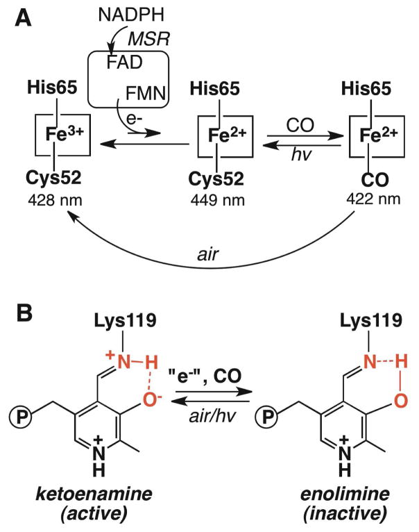 Scheme I