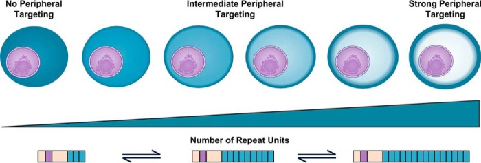 FIGURE 10.