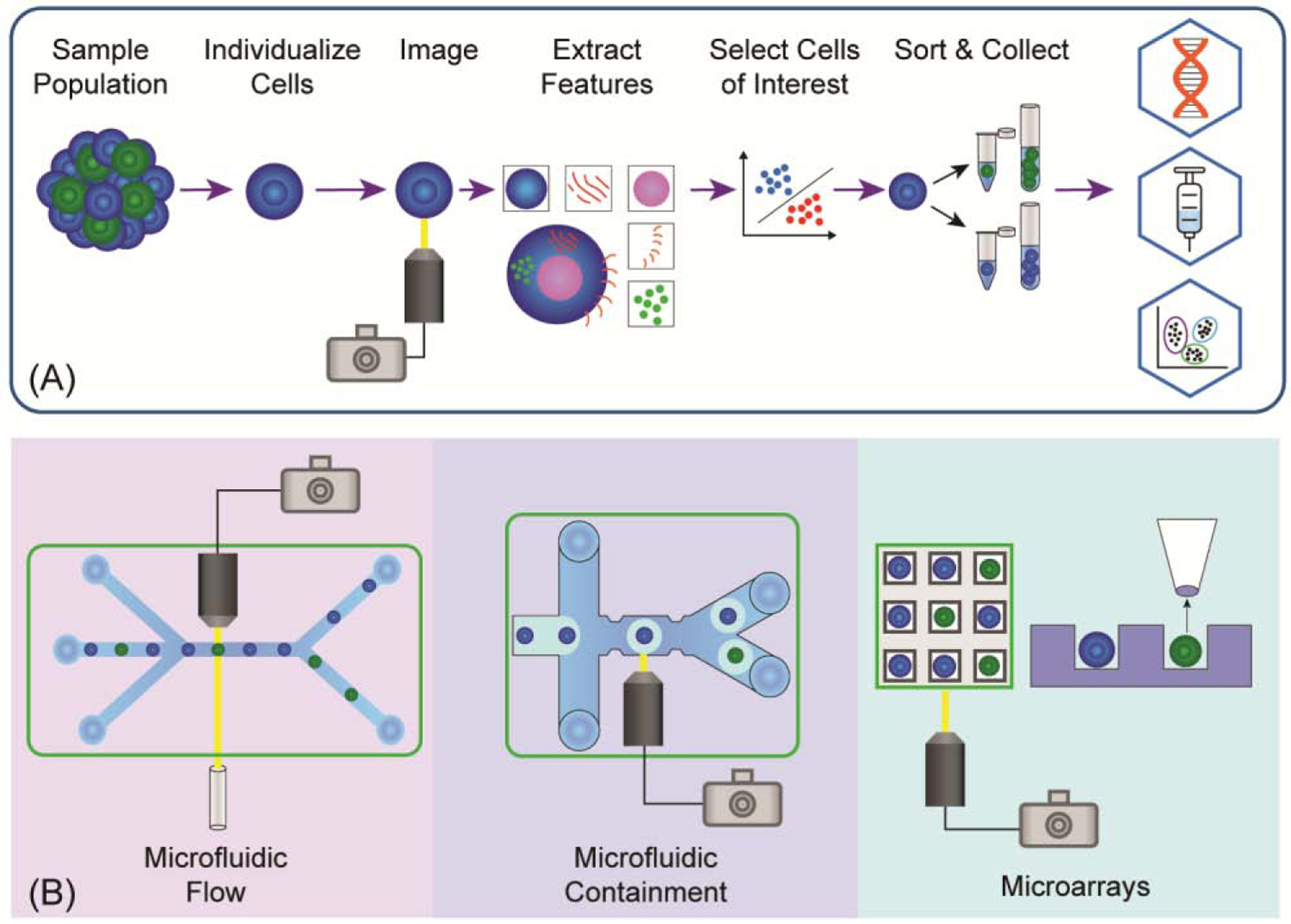 Figure 1 (Key Figure):