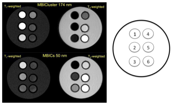 Fig. 7