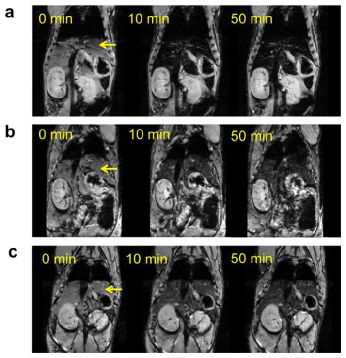 Fig. 8