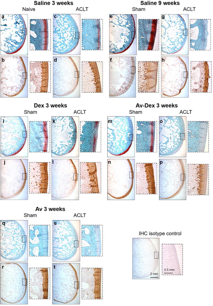 Fig. 10