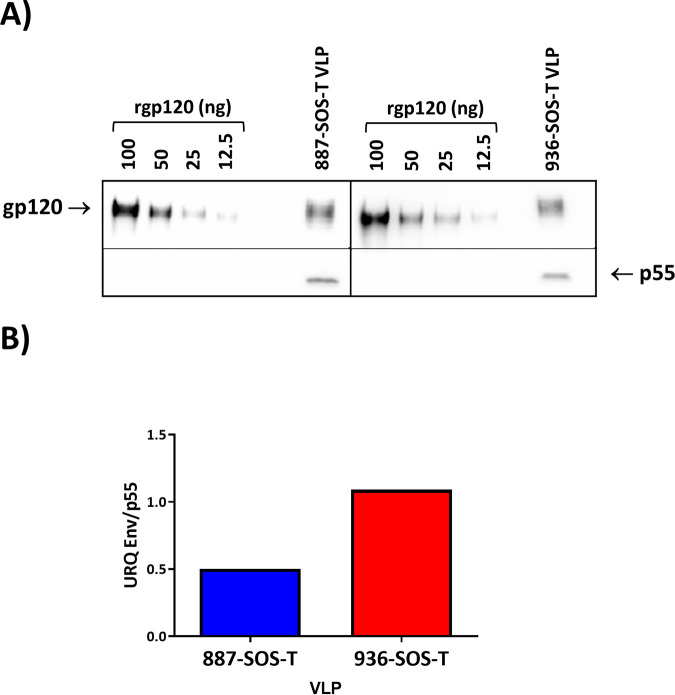 FIG 5