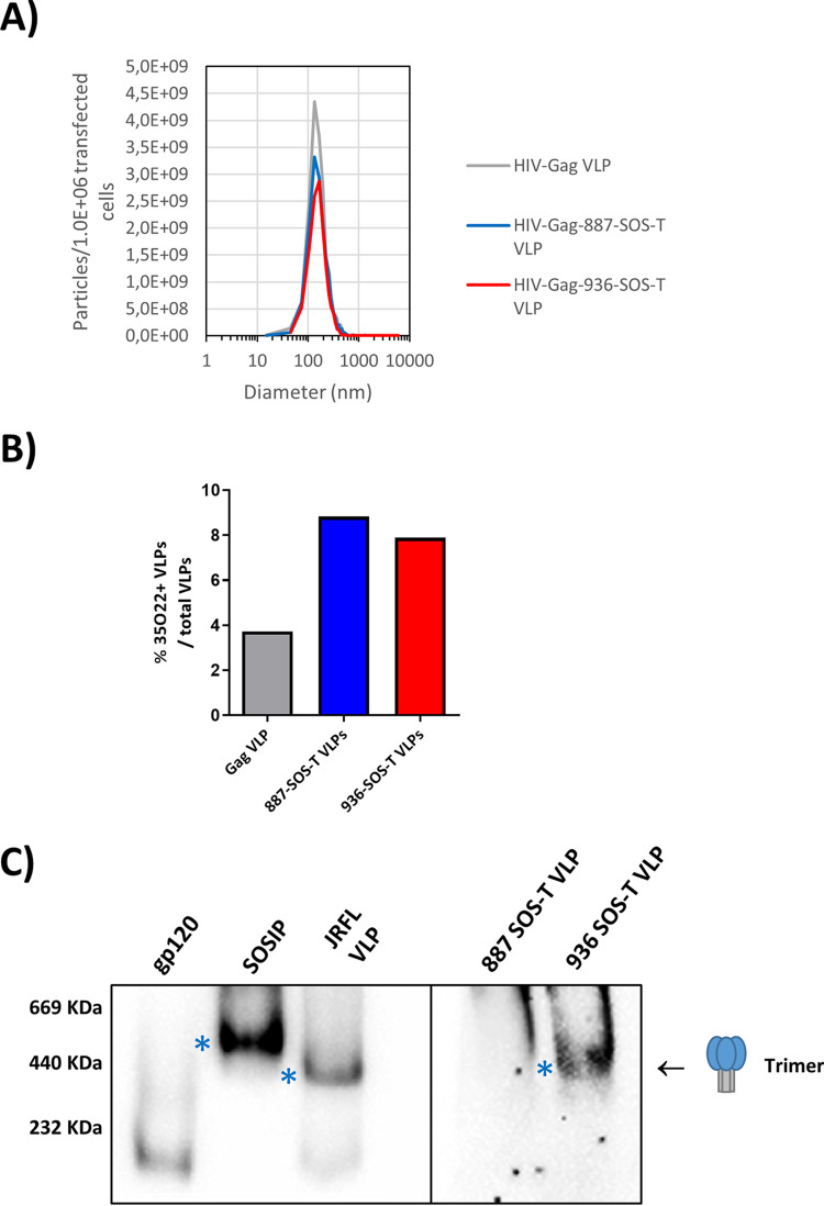 FIG 6