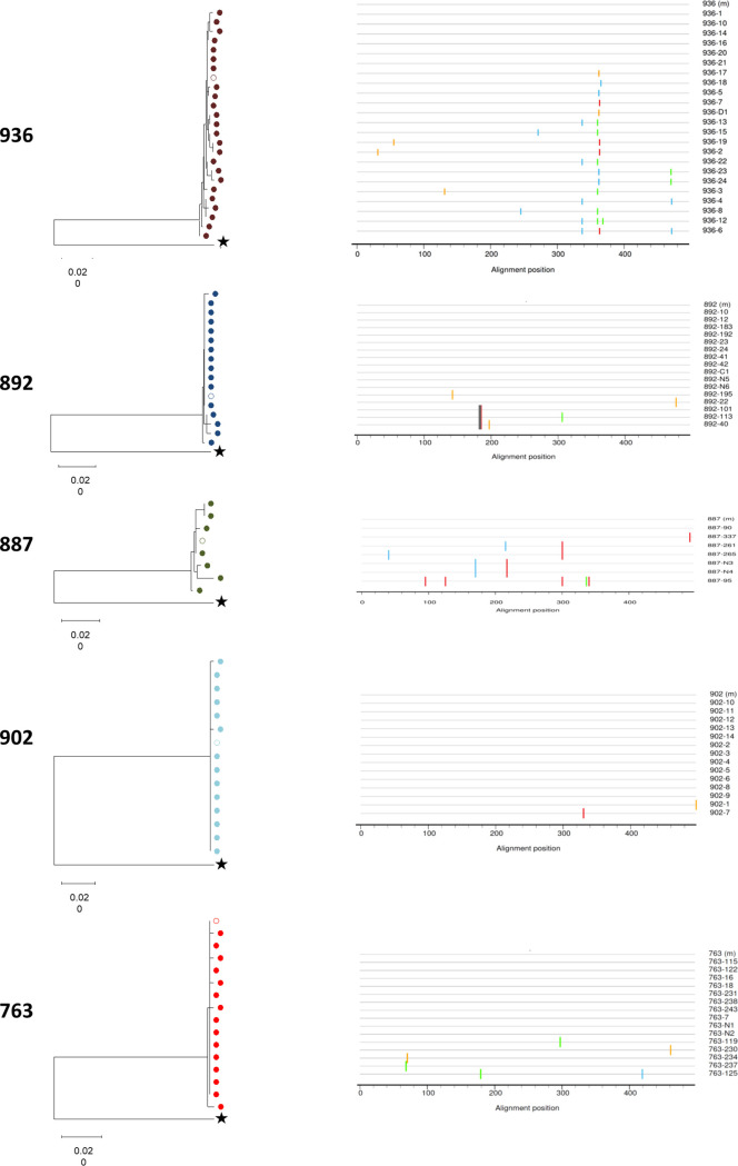 FIG 2