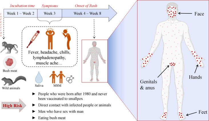 Figure 3