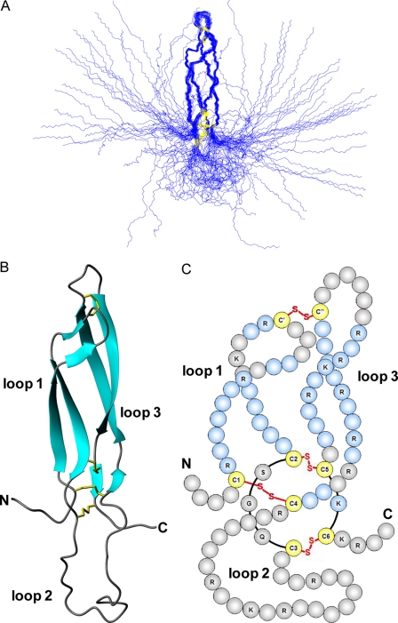 FIGURE 2.