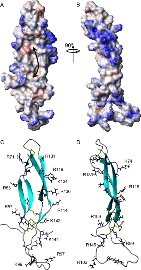 FIGURE 4.