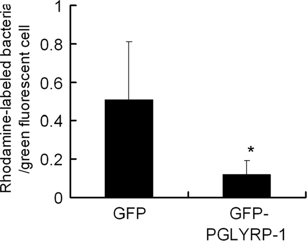 FIG. 7.