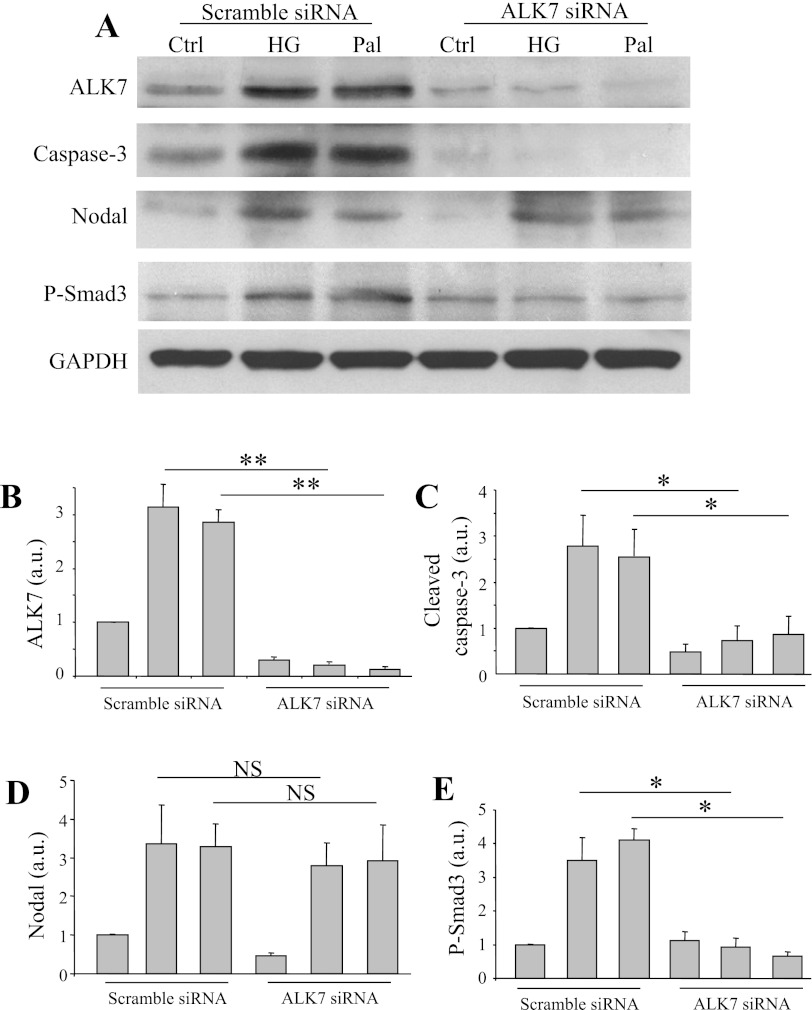 Fig. 7.