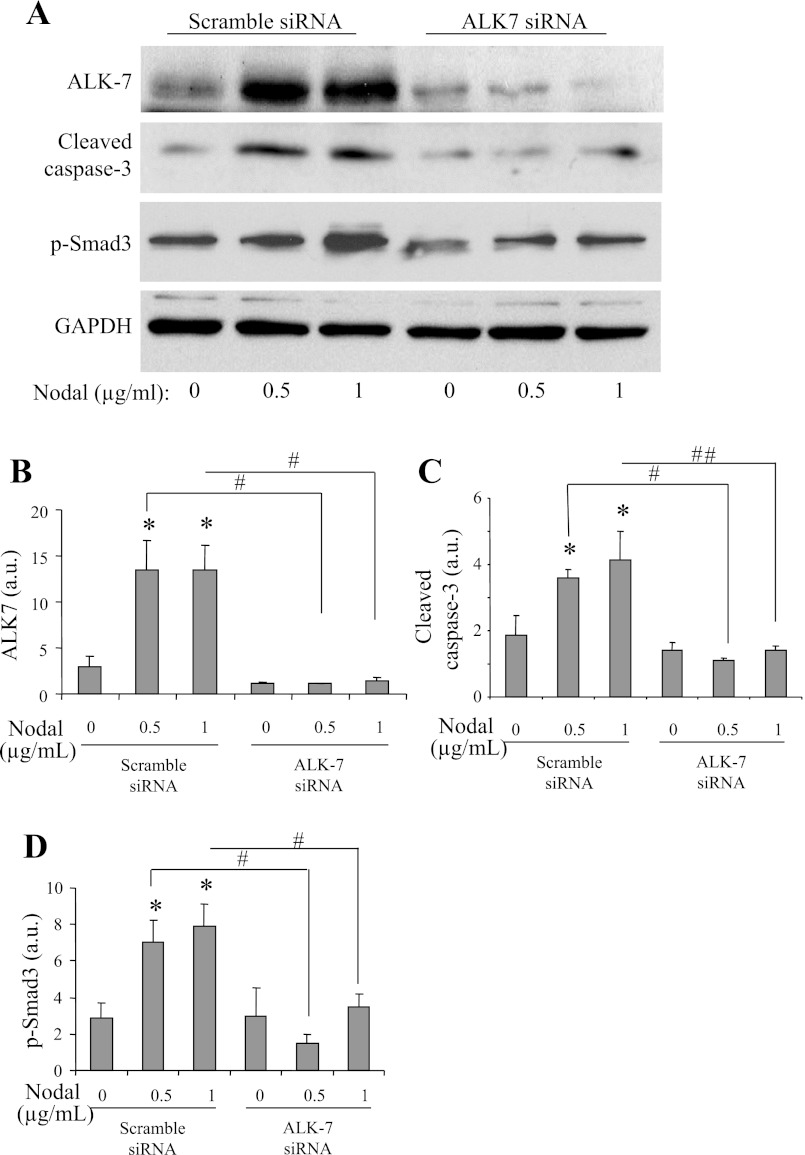 Fig. 8.