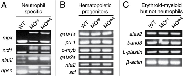 Figure 4.