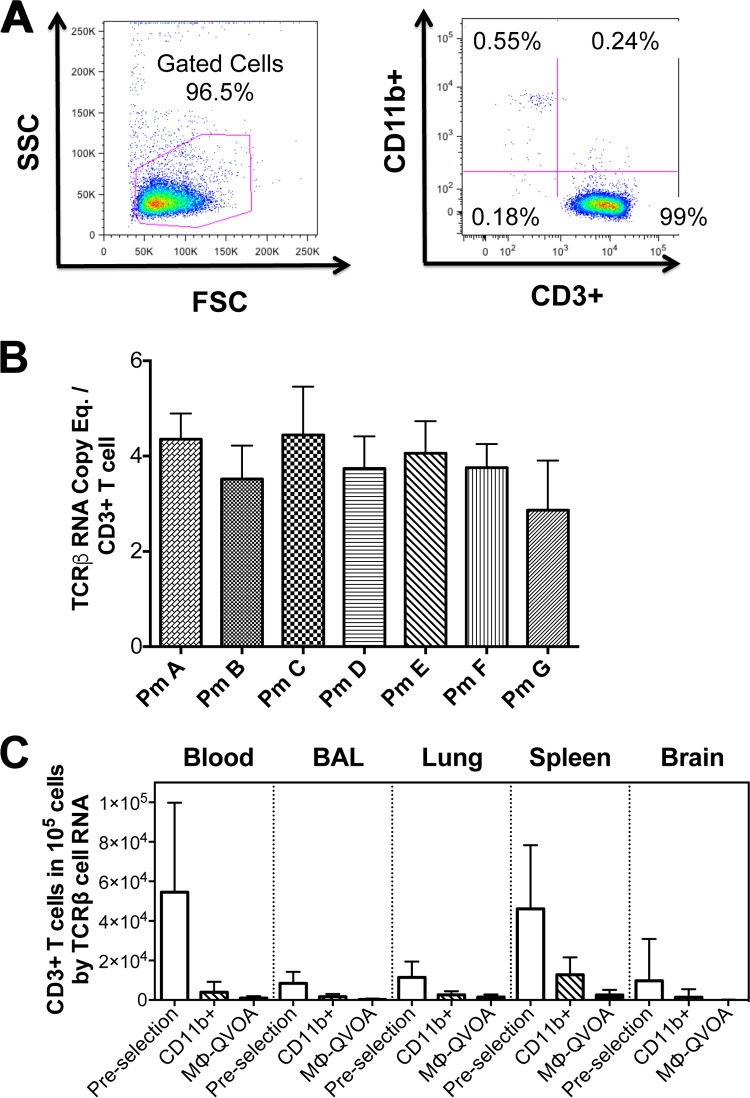 FIG 2