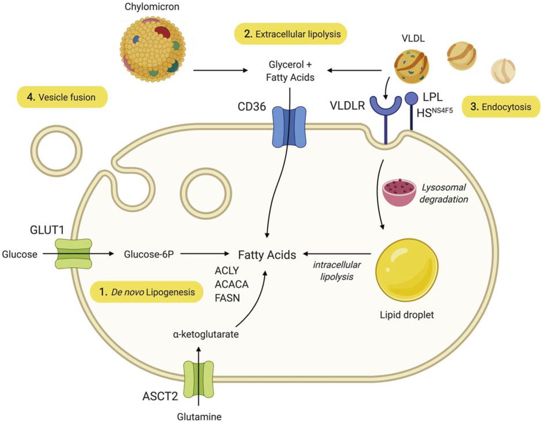 Figure 1: