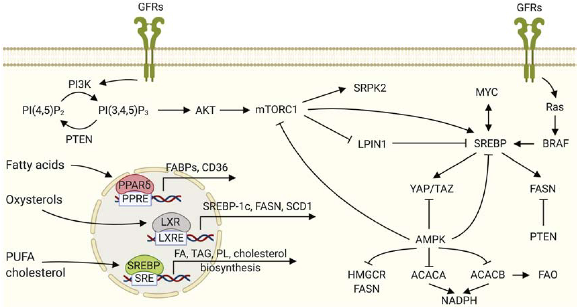 Figure 2: