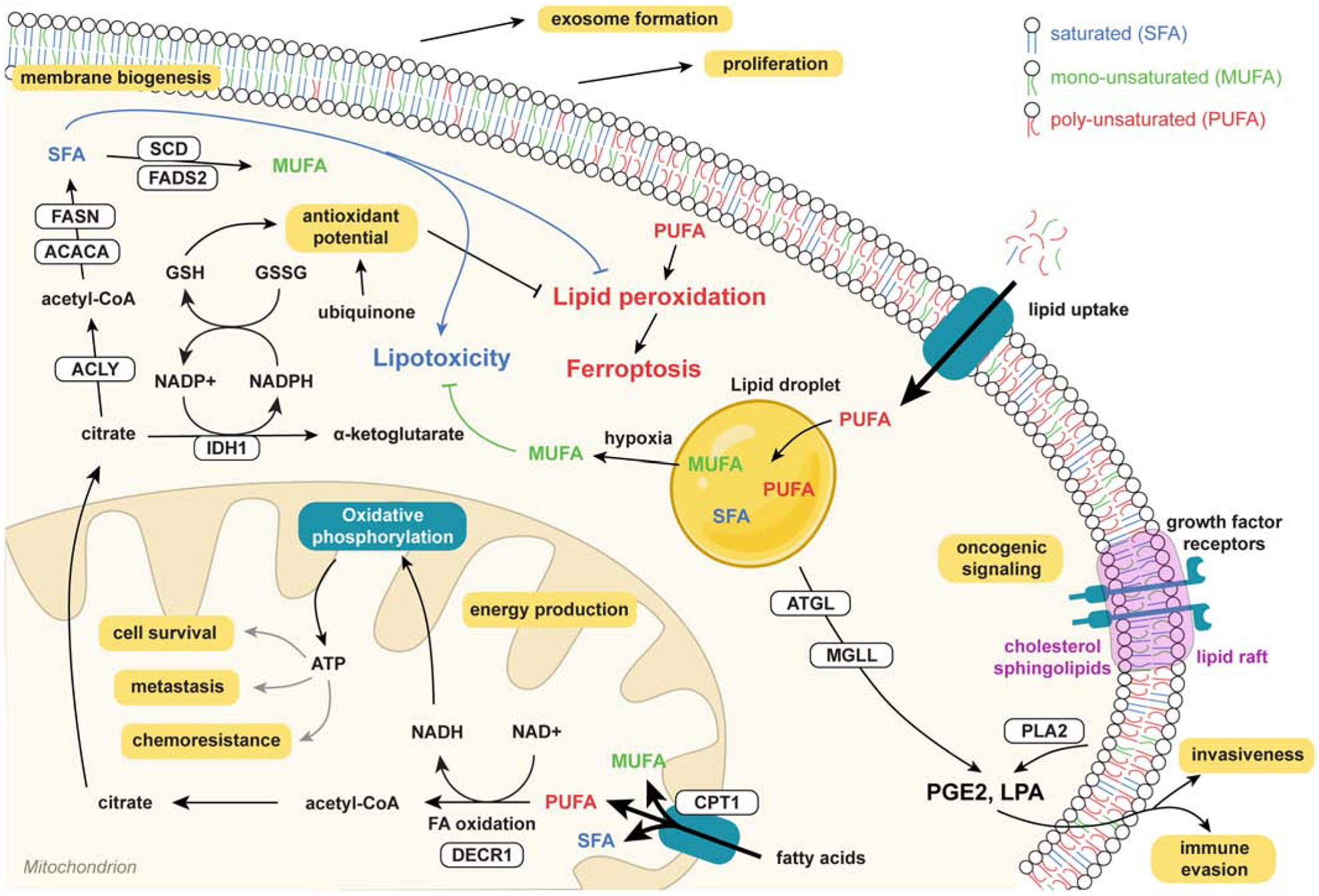 Figure 3: