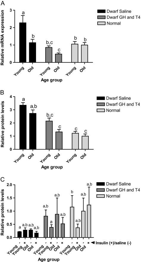 Figure 6.