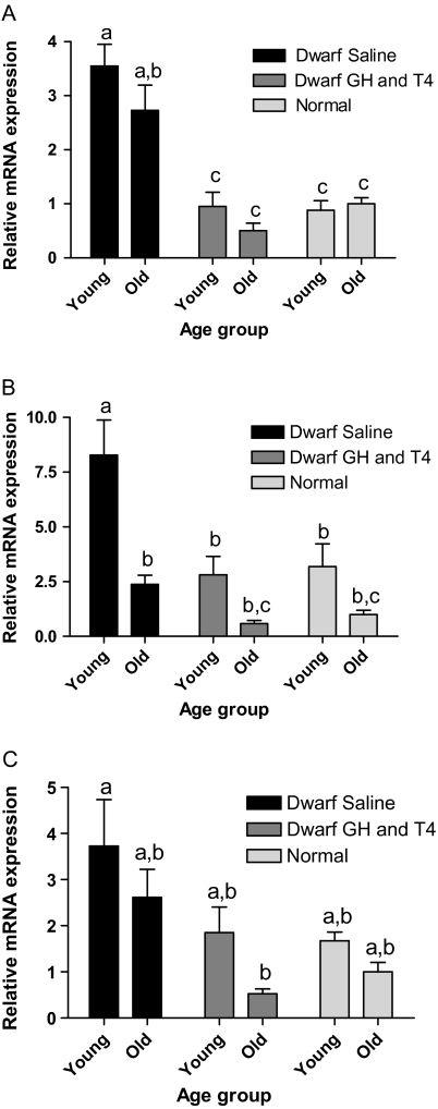 Figure 7.