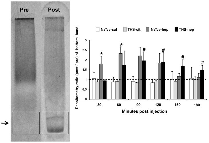 Fig. 9