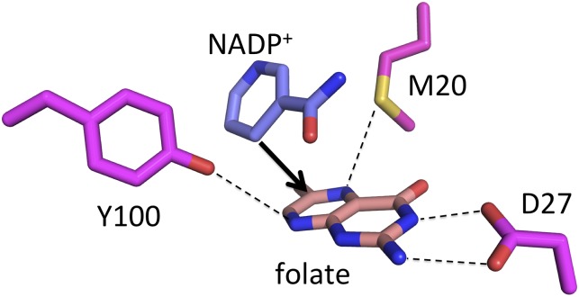 Fig. 1.