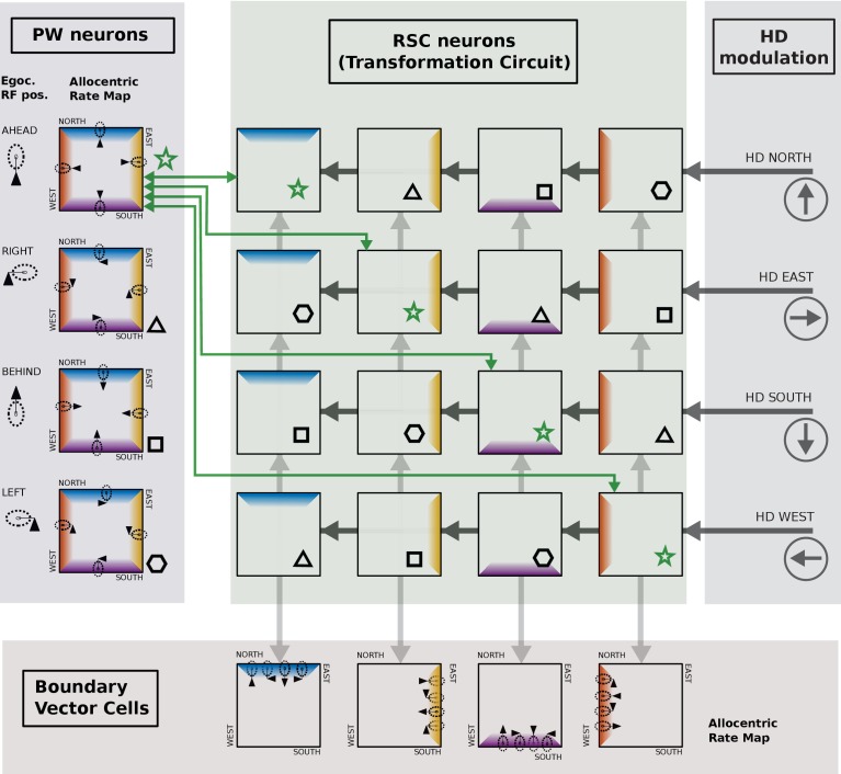 Figure 2—figure supplement 1.