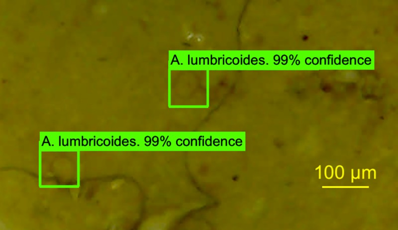 Fig 4