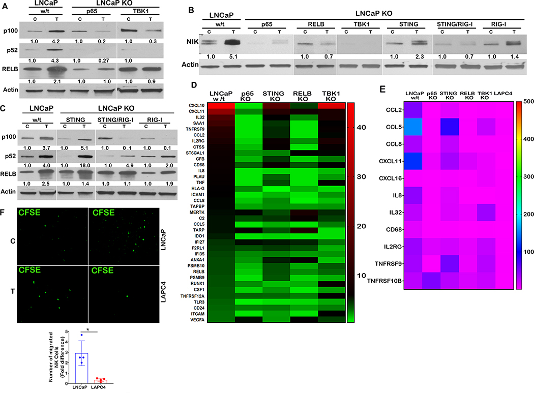 Figure 6: