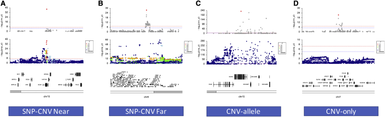 Figure 4