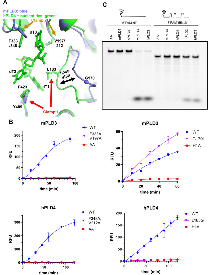 Figure 4.