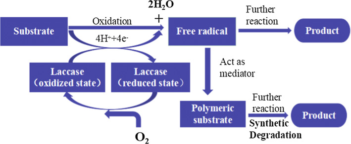 Fig. 13