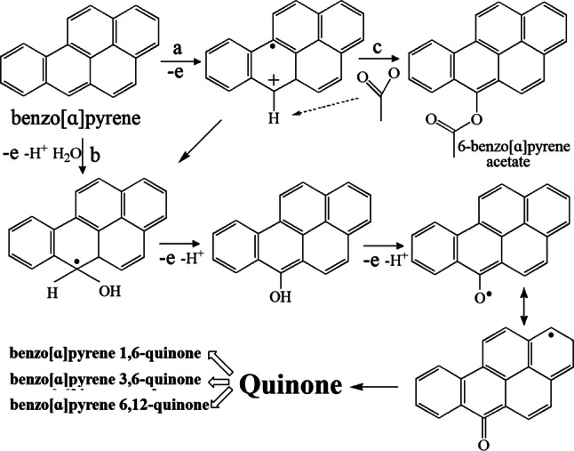 Fig. 11