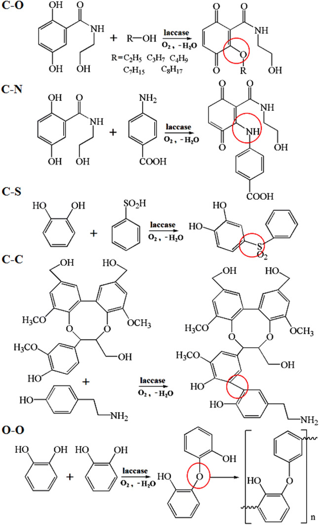 Fig. 12