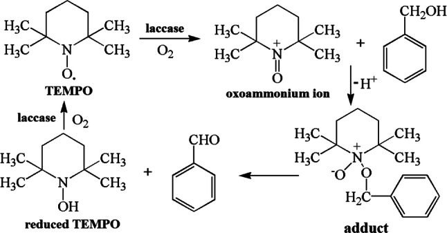 Fig. 10