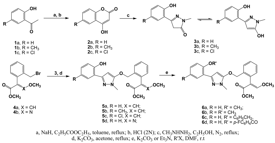 Scheme 4