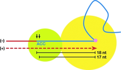 FIG. 1.