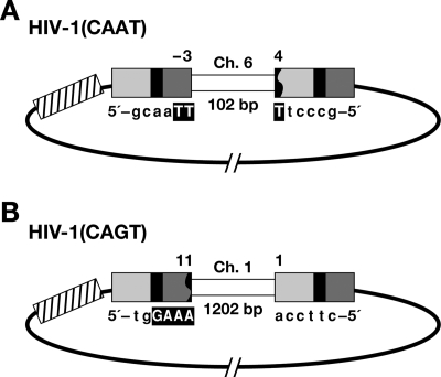 FIG. 4.