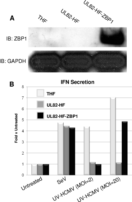 FIG. 7.