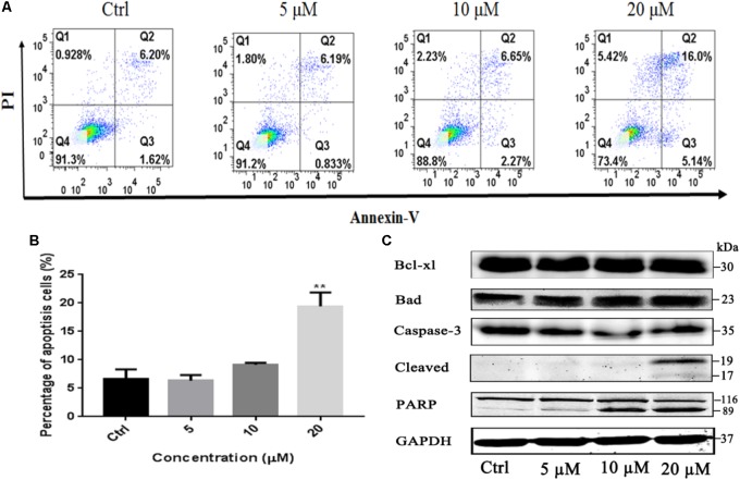 FIGURE 3